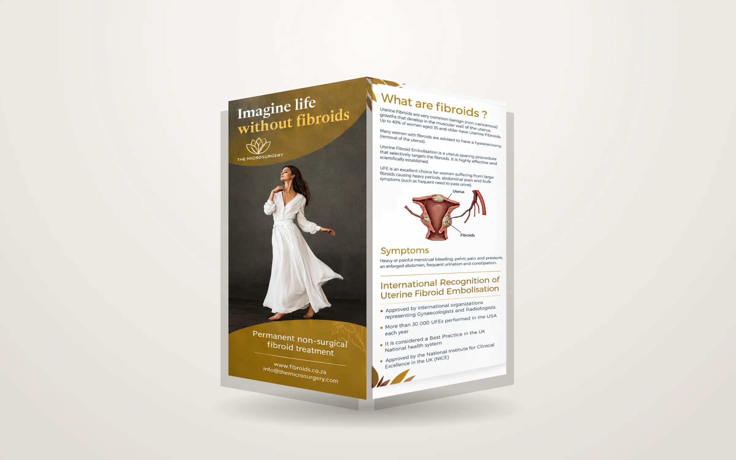The pamphlet standing half open