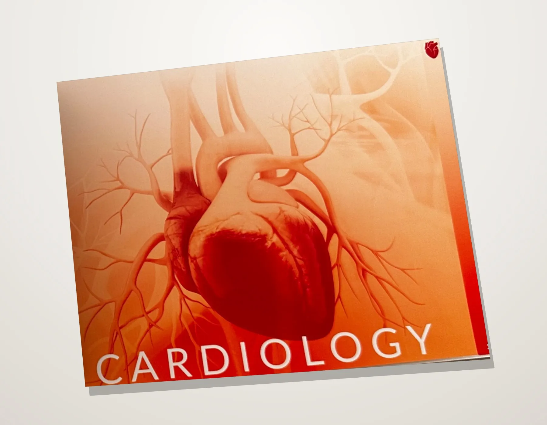 The cardiology section divider